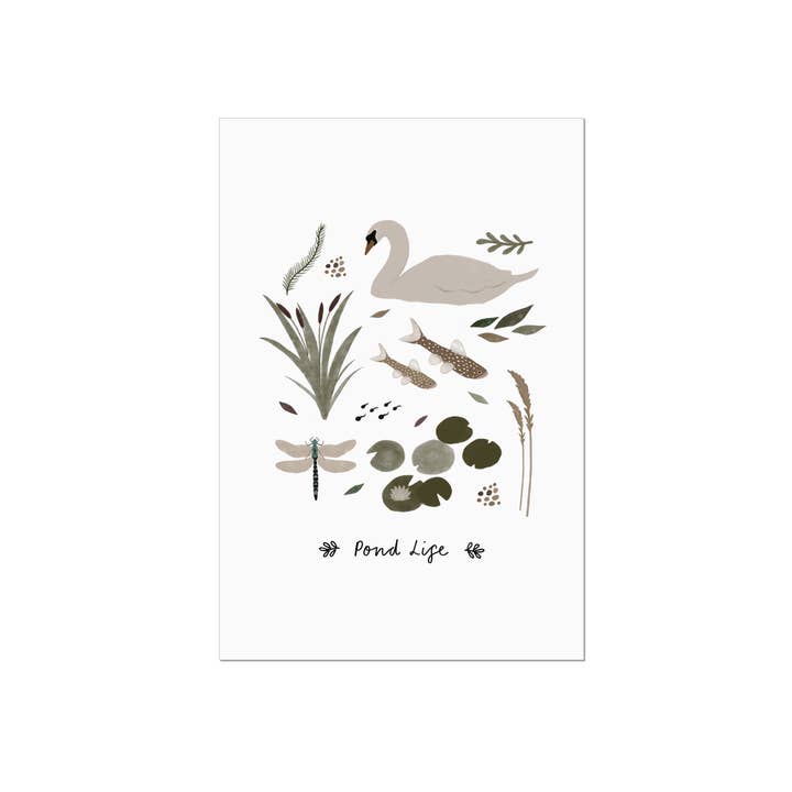 HeatherLucyJ Design - Wholesale Art Print - Pondlife Nature Art Print1