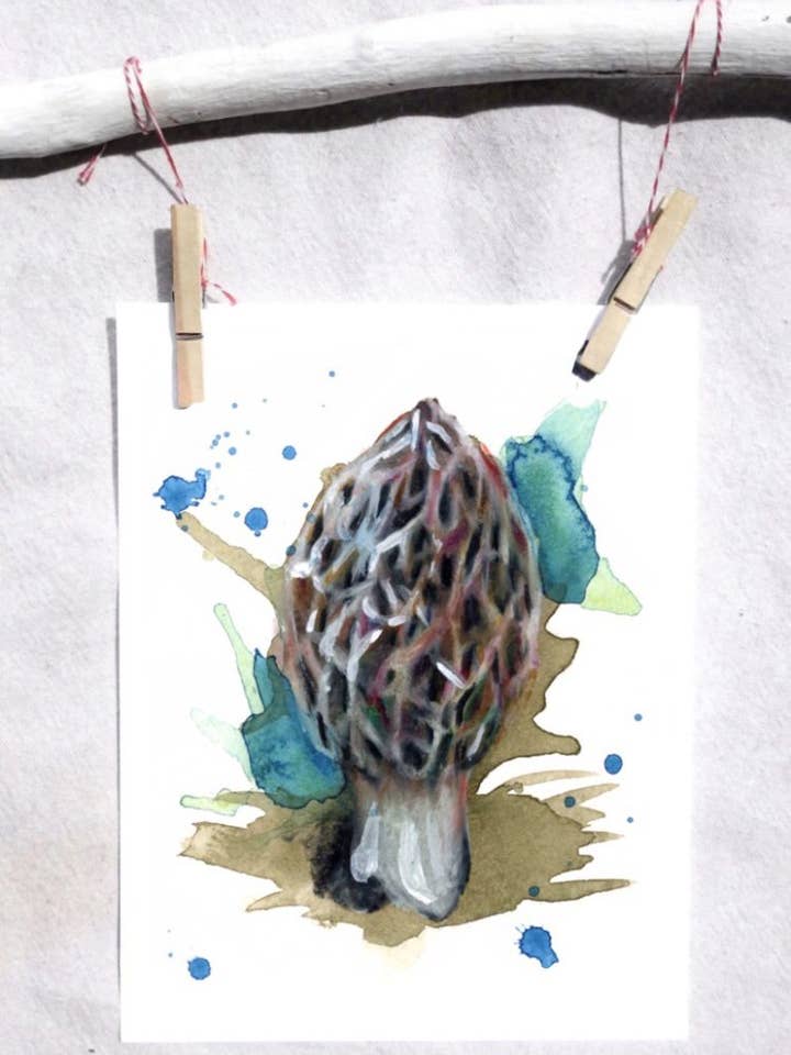 Fungus Morel mushroom art print for wholesale by Lindsey Munson