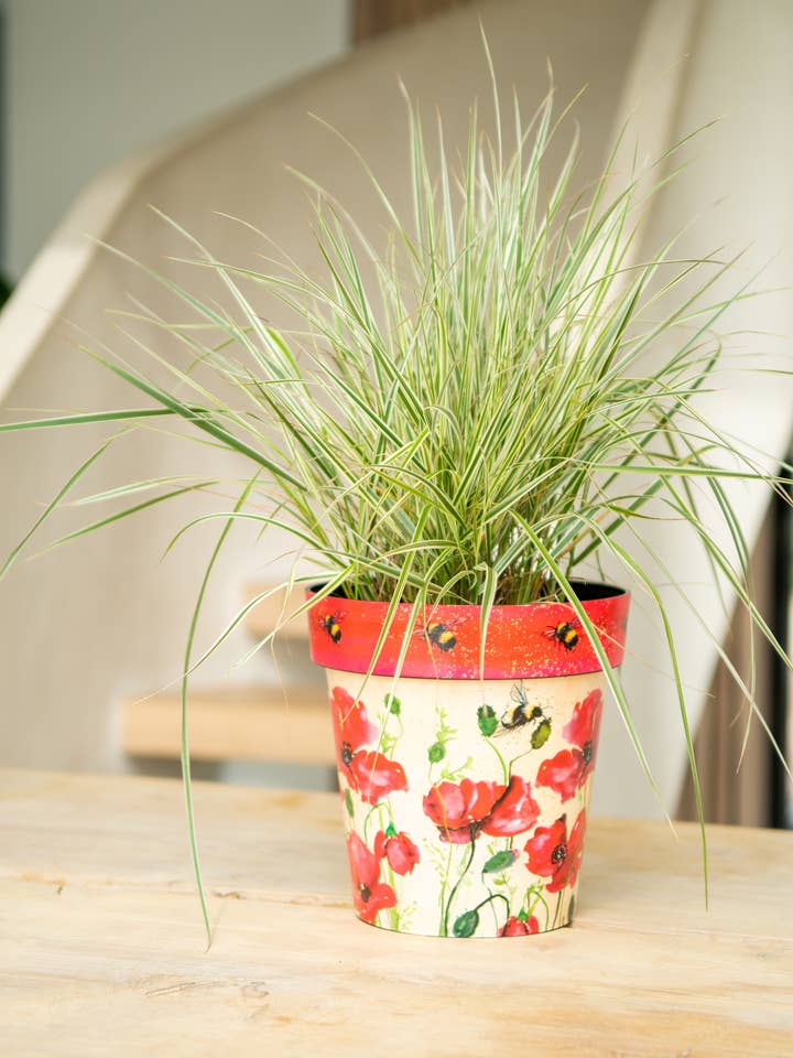 Papoilas e abelhas Zest Pot de 8,5" por atacado de Sunshine Ceramica