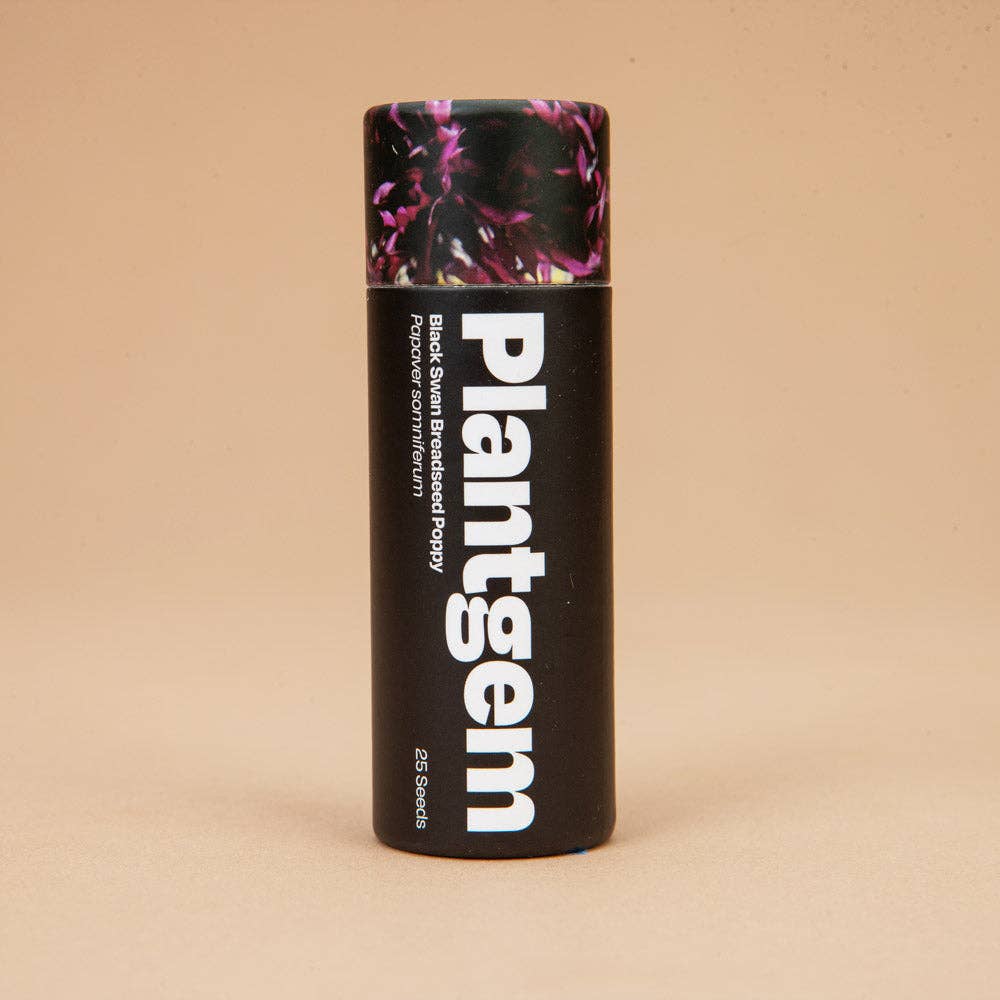 Plantgem - Wholesale Plant Seeds - Black Swan Breadseed Poppy - 100 Seeds