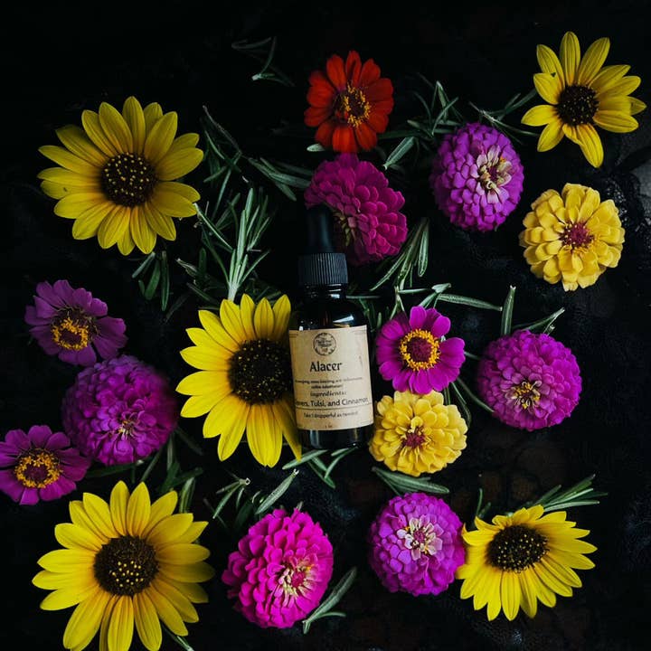 The Medicinal Melange – Tintura por atacado – Tintura Alacer (Impulso Matinal para o Cérebro, Sem Cafeína, Sem Stress)