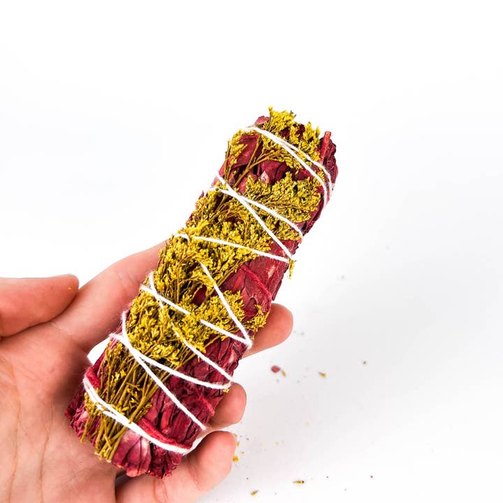 GREENROOTS USA LLC - Vendita all'ingrosso Salvia - Salvia dal sangue di drago con fiori selvatici 10,2 cm1