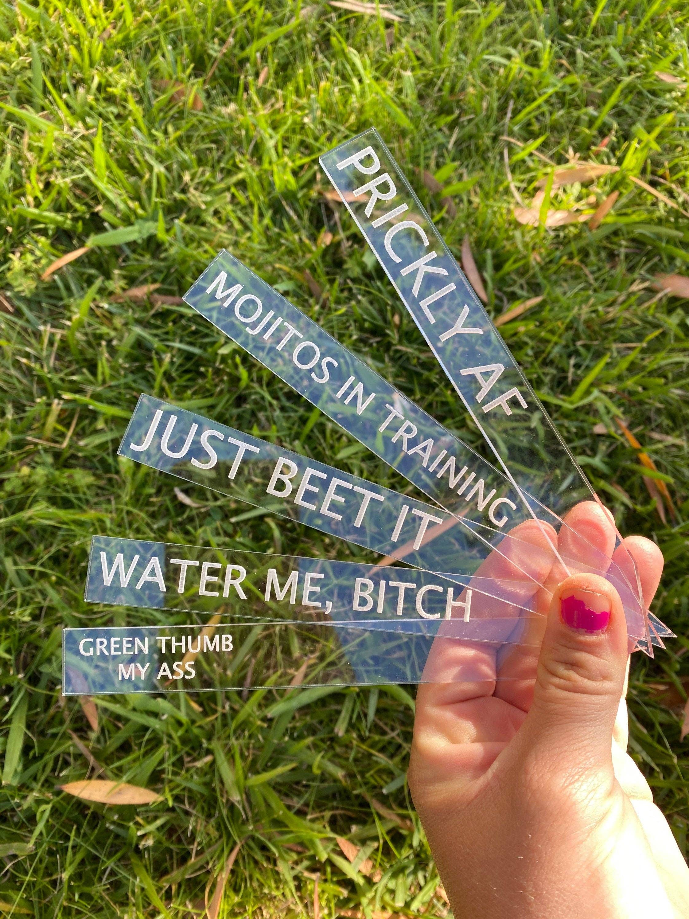 BUBBLEHEAD INK - Wholesale Garden/Lawn Stake - Plant Lover Gift | Black Thumb Garden Stakes | Snarky Housewarming Gift | Snarky Plant Lover | Crazy Plant Lady | Ready to Ship Christmas1