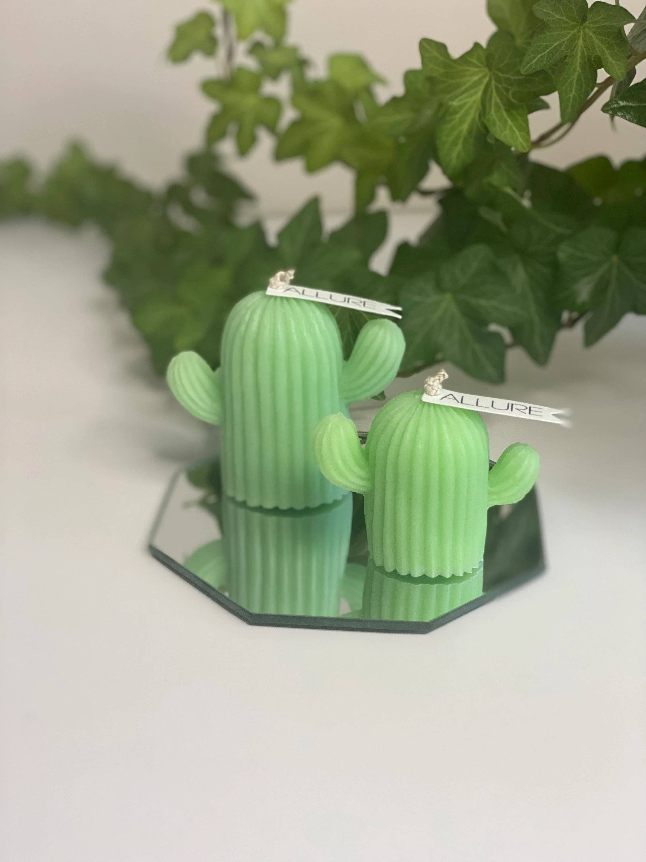 Allure Wax Works – Großhandel Geschenkkerze – Kaktus-Kerze2