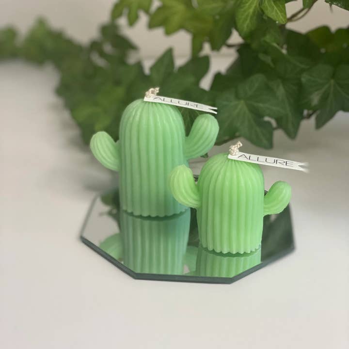 Allure Wax Works – Großhandel Geschenkkerze – Kaktus-Kerze2