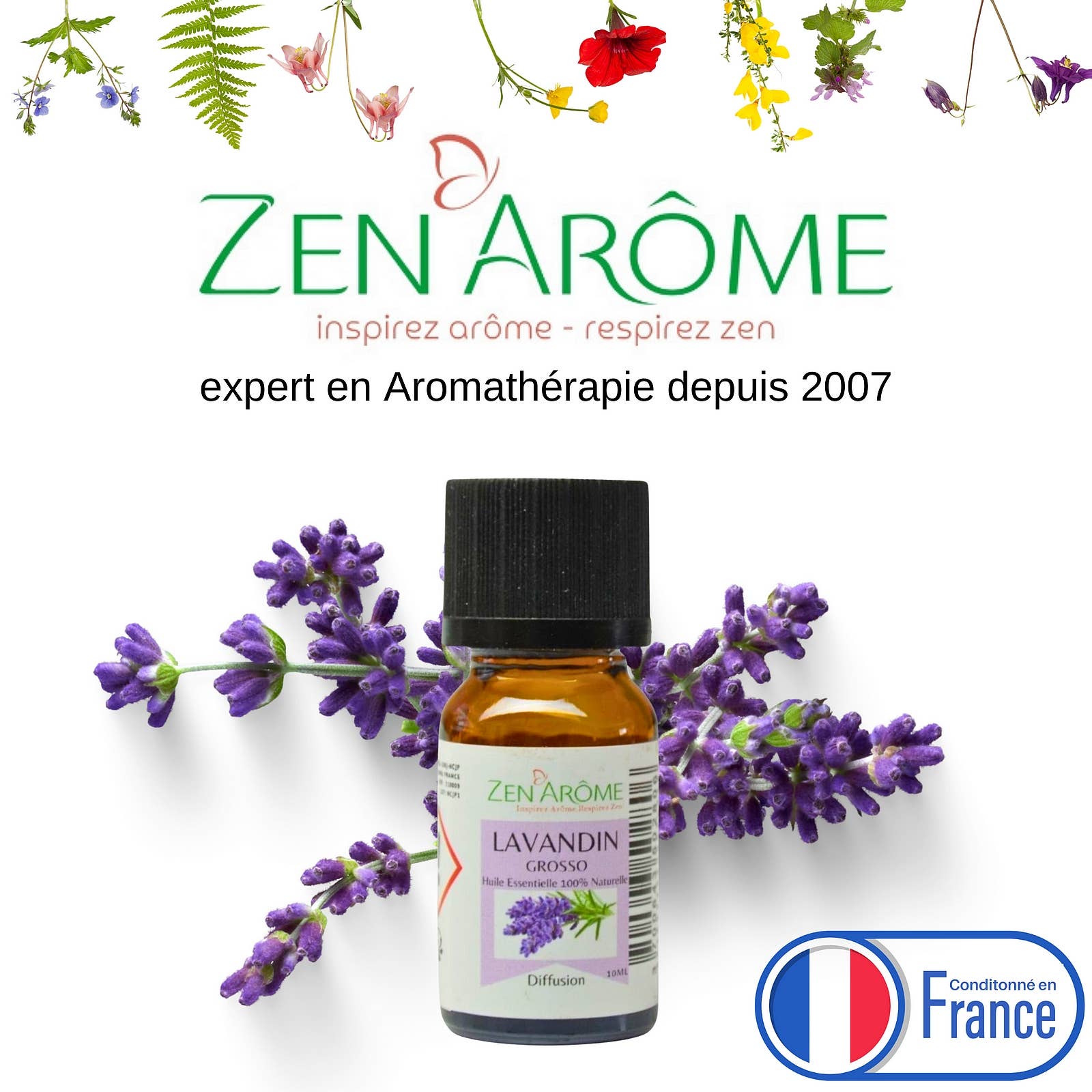 Zen'Arôme – Engroshandel Æterisk olie – Lavendelolie Grosso - 100% Naturlig - 10ml4