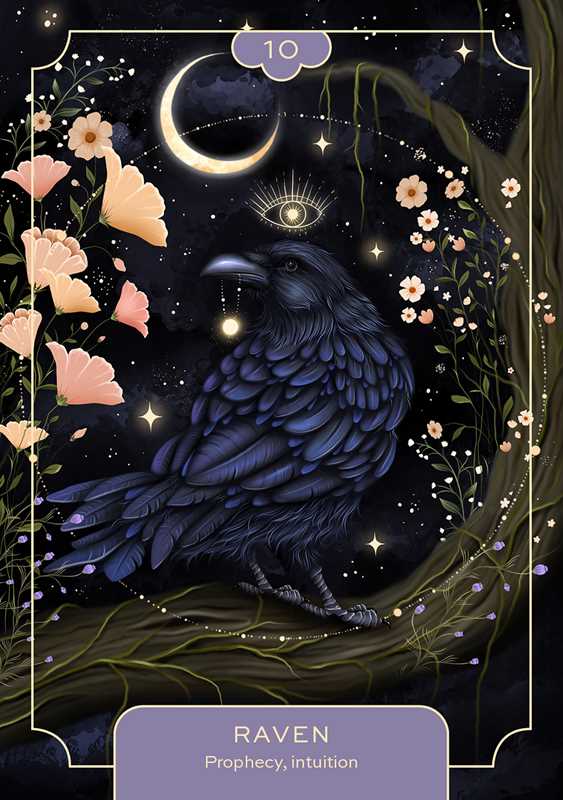 Simon & Schuster - Wholesale Tarot Cards - Animal Spirit Oracle by Lea  Androic6