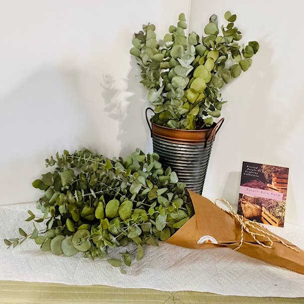 Purple Rain Lavender Farm - Wholesale Dried/Pressed Flowers - Eucalyptus Bouquet or Shower Bundle1