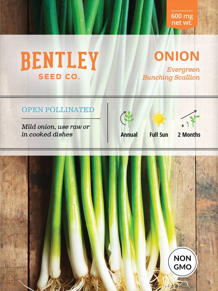 Onion, Evergreen Bunching Seed Packets for wholesale by Bentley Seed Co.