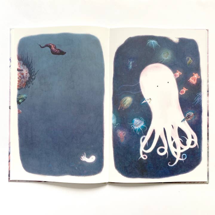 La Partie - Vente Livre pour enfants de maternelle (de 3 à 5 ans) - Tom Poulpe / Océan / Aventure / Profondeurs sous-marine5