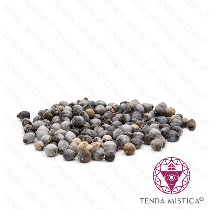 Tenda Mística - Wholesale Plant Seeds - Capiá Seed 50g0