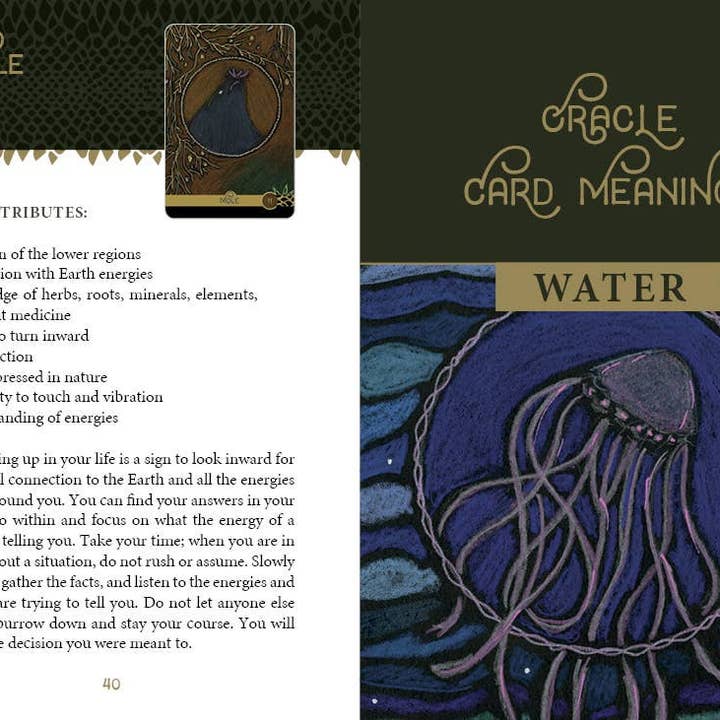 Schiffer Publishing - Wholesale Tarot Cards - The Wild Elemental Oracle6