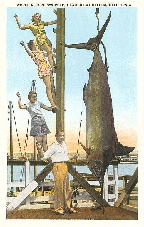 Found Image Press - Wholesale Sticker - Sticker CA-87 Hanging Swordfish, Balboa, California0