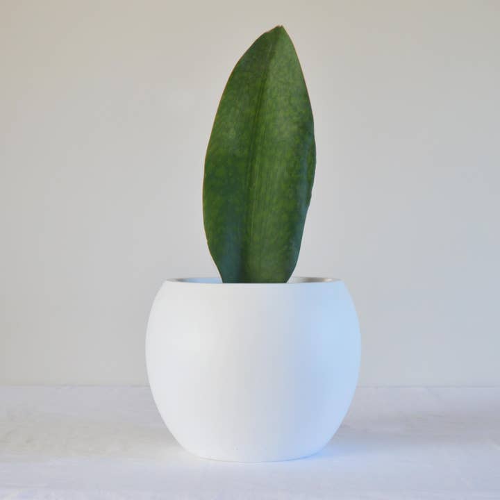 Common House Studio - Wholesale Plant Pot - SPHERE POT | PLANTER5