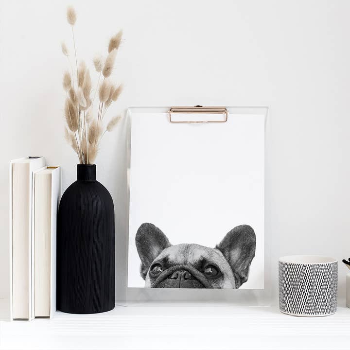 Frenchie Unframed Peeking Print for wholesale by Perkie Prints