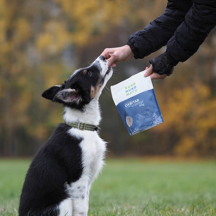 Sund Hundmat - Wholesale Pet Treats - Dog - Freeze-dried Ox chunks 60g6