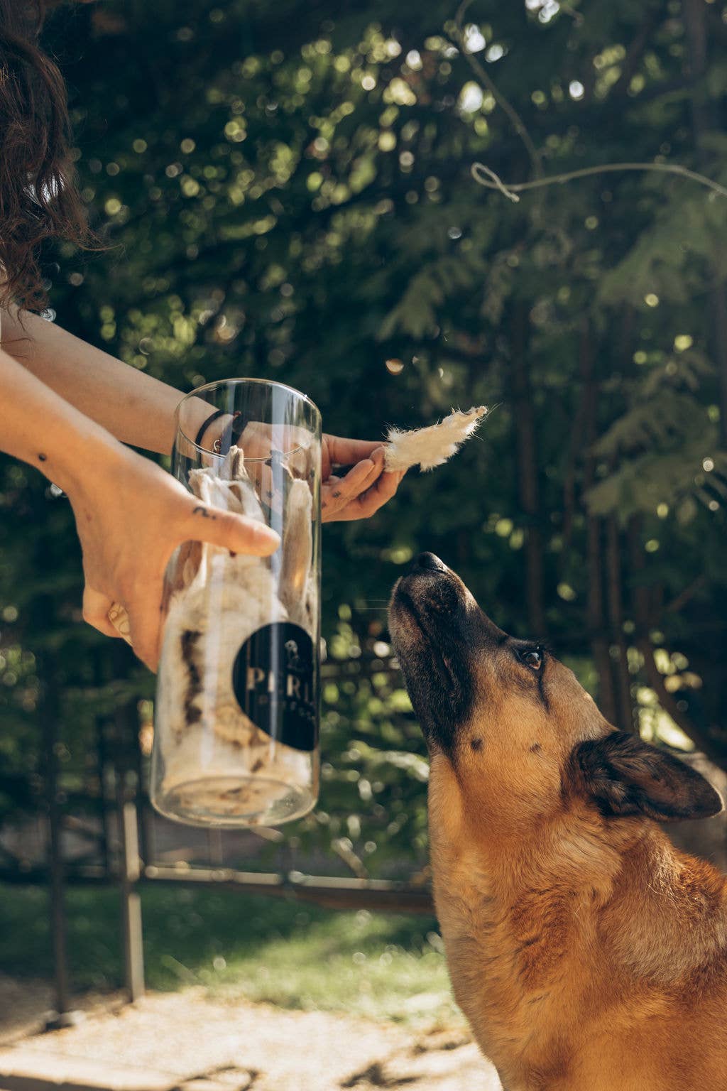 Perla PetFood – Großhandel Leckerlis – Hund – Snack BARF Kaninchenohren mit Fell 100% Made in Italy2