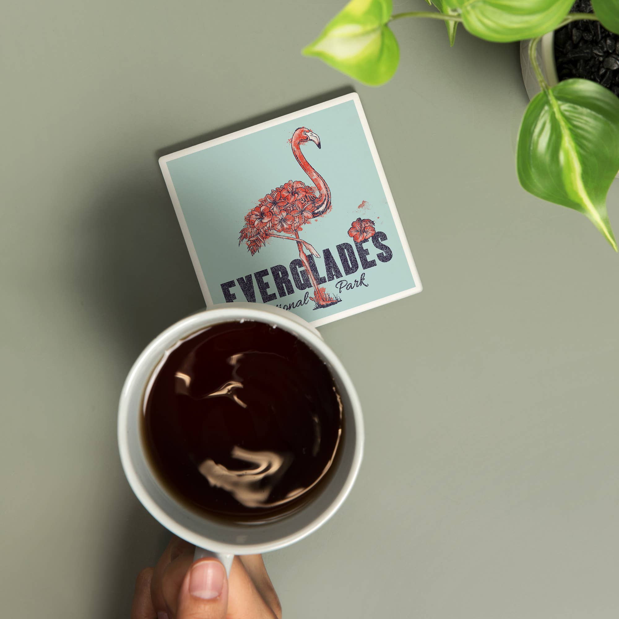 Lantern Press - Wholesale Coasters - Ceramic Coaster Everglades National Park, Flamingo, Flowers1