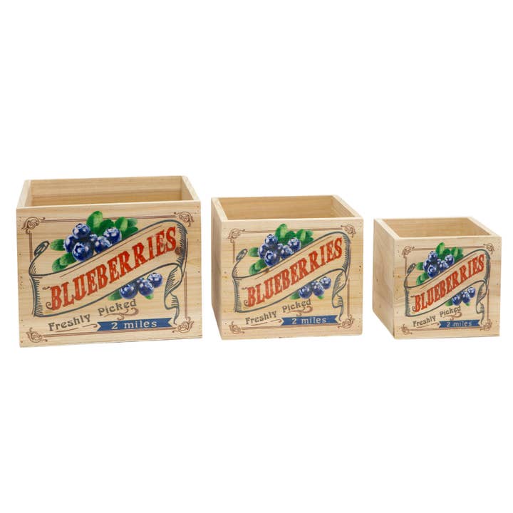 Jacobson - Wholesale Planter Box - Assorted Blueberry Wood Crates - Set of 3