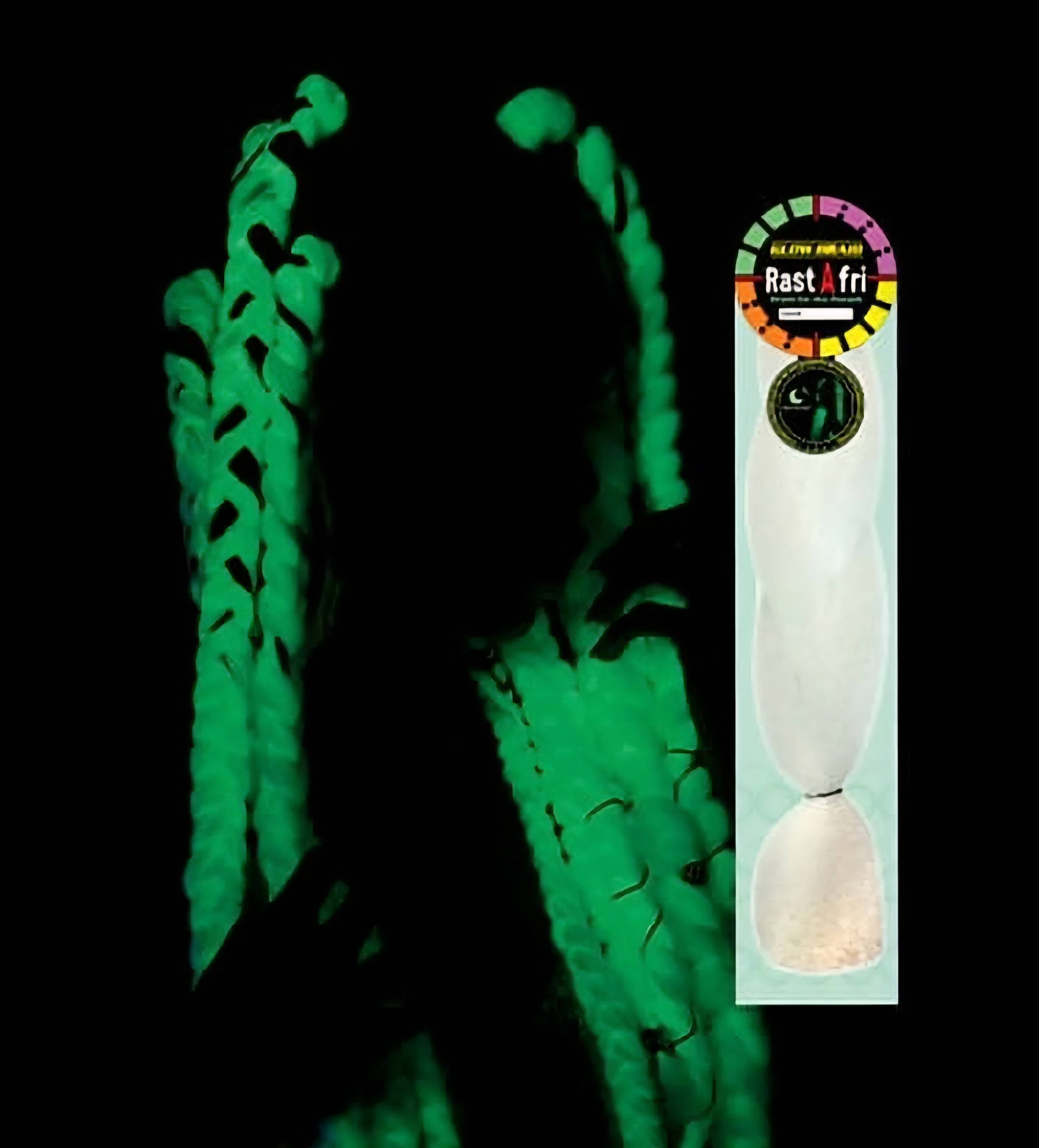 Majestic Wholesale - Wholesale Hair Extensions - RastAfri Mood Braid Hair – Color Change in Sunlight1