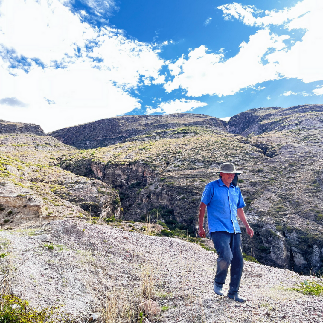 SIMPLi - Wholesale Protein/Superfood Powder - SIMPLi Regenerative Organic Chia Seeds3