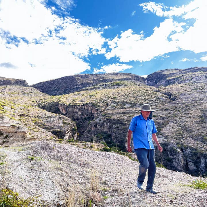 SIMPLi - Wholesale Protein/Superfood Powder - SIMPLi Regenerative Organic Chia Seeds3