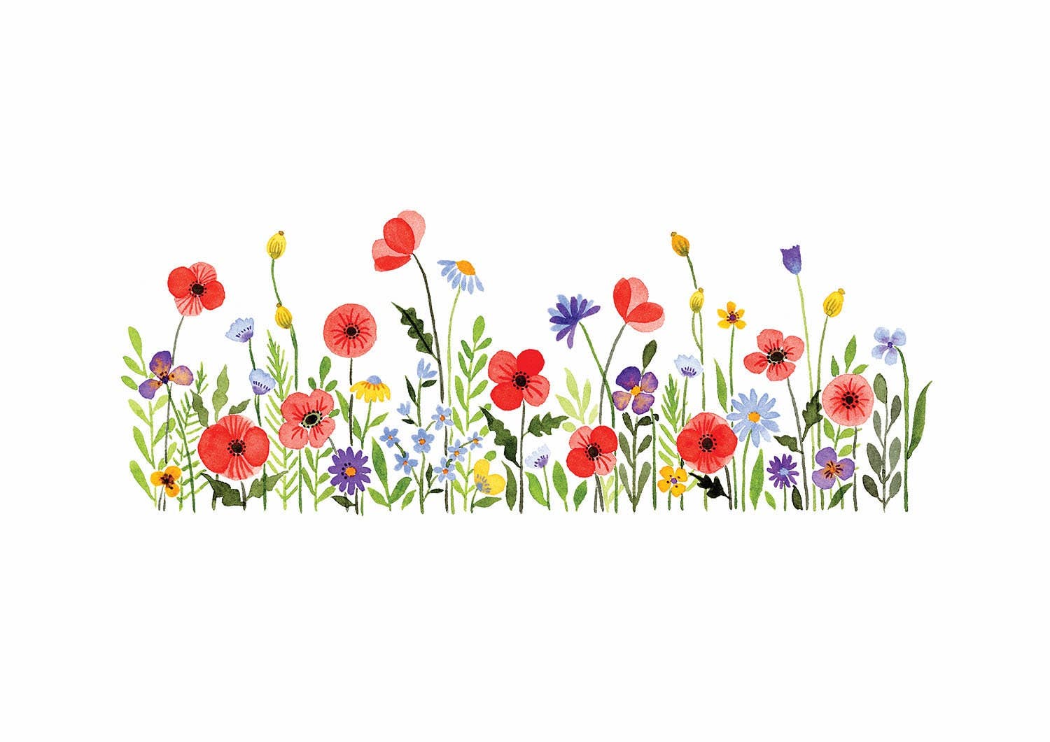 Anna Lau Art - Wholesale Art Print - Hey Poppies: A5 / A4 Watercolour Floral Art Print1