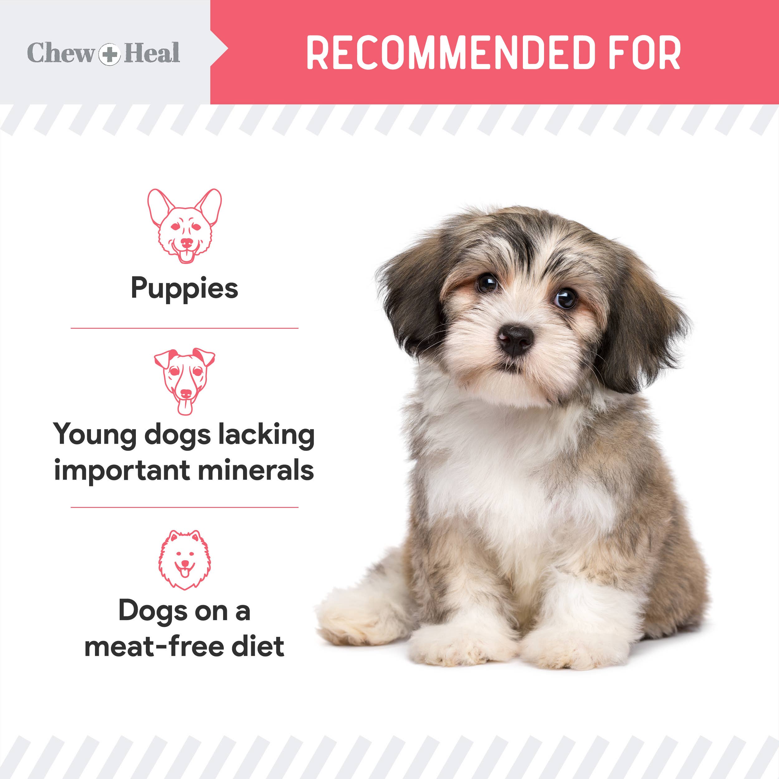 Chew + Heal – Großhandel Leckerlis – Hund – Puppy Wild Alaskan Salmon Limitierte Zutaten Hundesnacks8