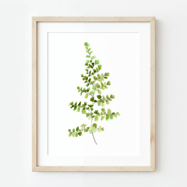 Maidenhair Varen Aquarel Kunstwerk Natuurprint voor wholesale door NorthHouse Creative Co.