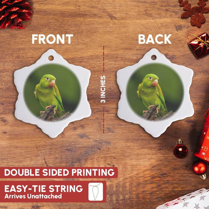 3dRose - Wholesale Ornament - 3dRose, Costa Rica. Orange-chinned parakeet close-up., Ornament9