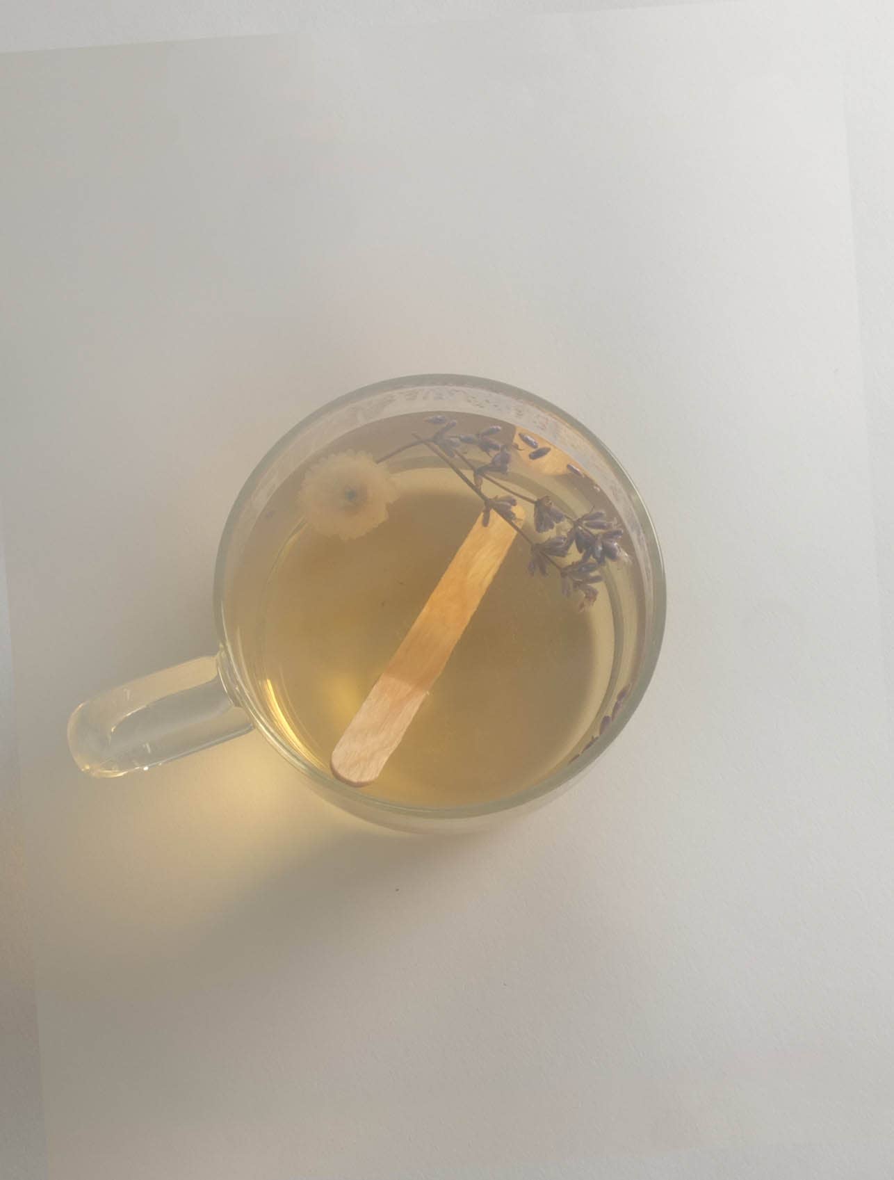 Fleurs d'hiver - Wholesale Loose Tea - Infusion lolly - Chamomile & Lavender2