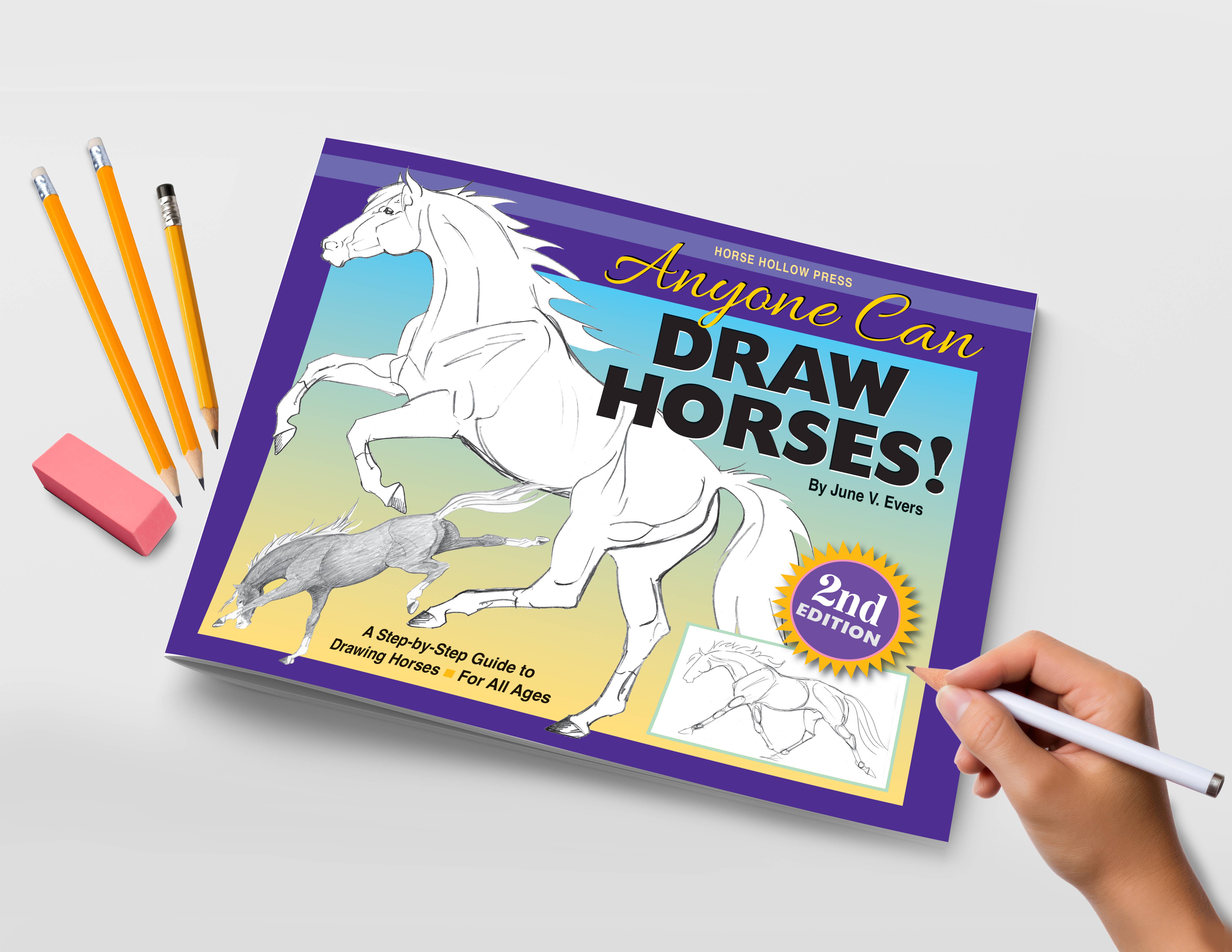 Horse Hollow Press / Pretty, Funny, Snarky Cards & Stickers - Wholesale Coloring & Activity Book - Adult - Art Book Horse Equestrian / Anyone Can Draw Horses / All Age1