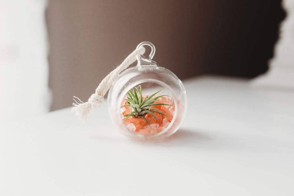 The Simply Crafty Shop - Wholesale Terrarium - Mini Orb Air Plant Terrarium Kit - Semi-Precious Stone57