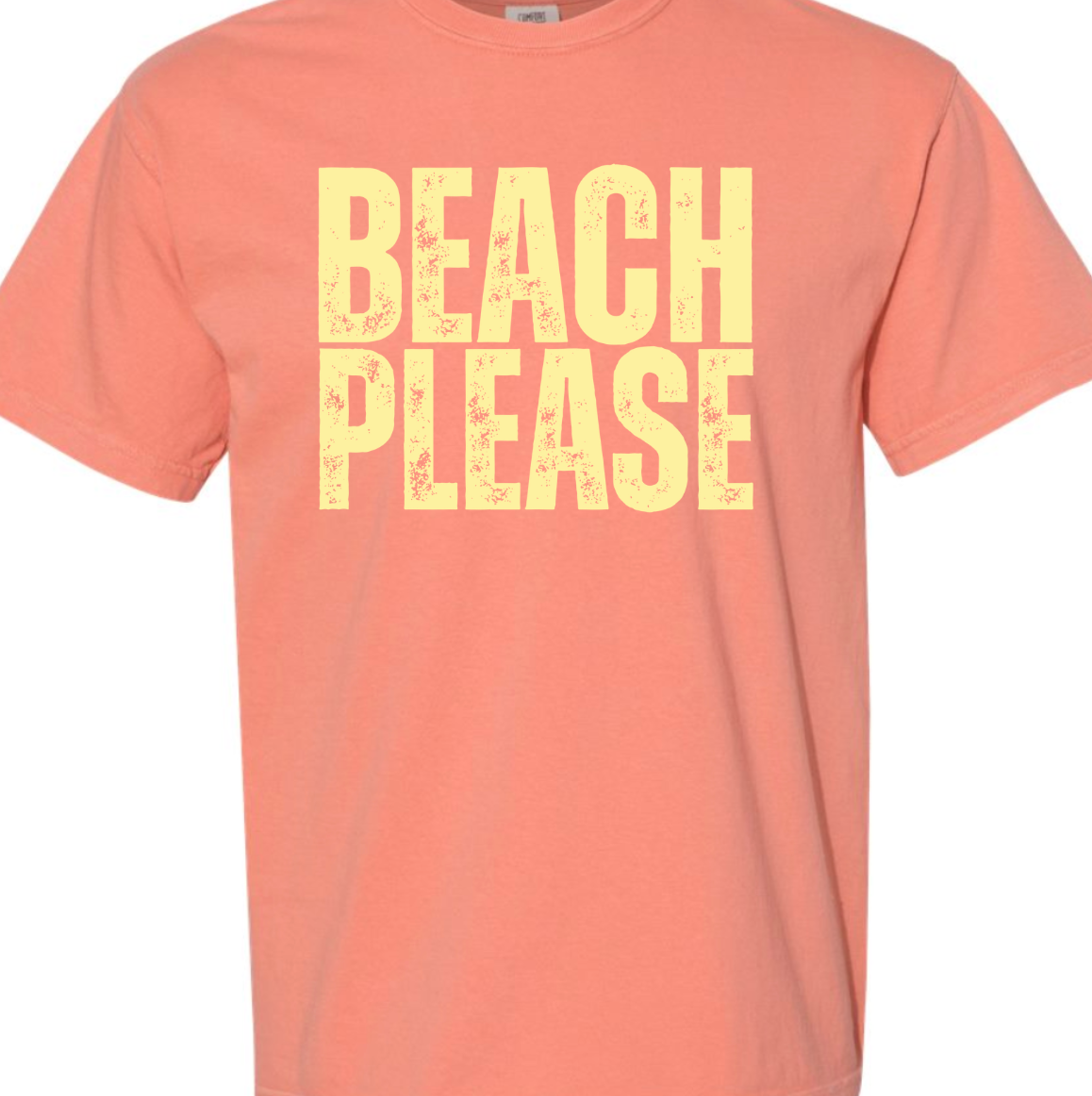 Kiki's Boutique - Wholesale Screen Printed T-Shirt - Women's - Beach Please Comfort Color Tee 9