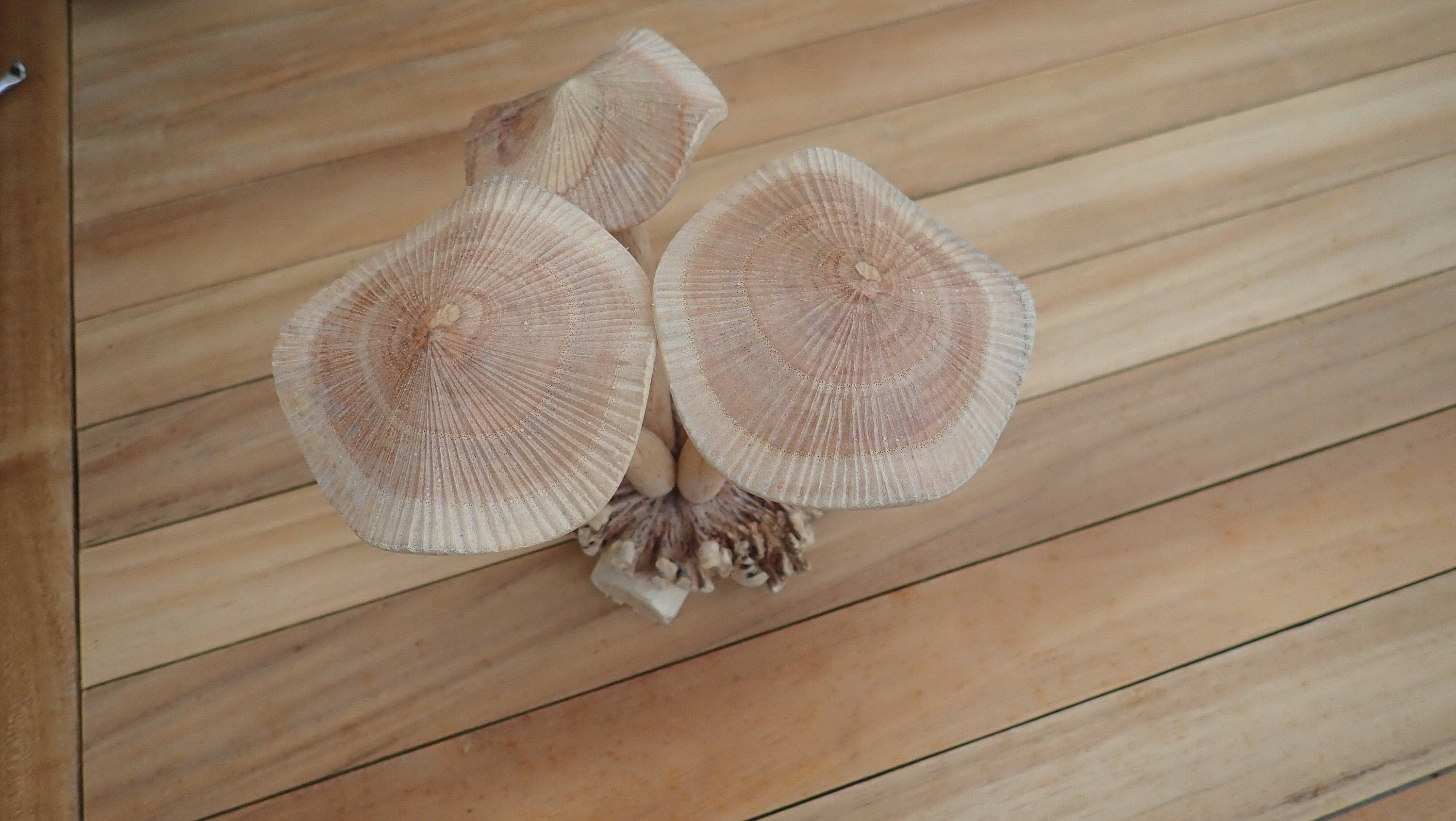 Ubud Glass – wholesale Decorative figurine – Wooden hand carved mushroom. Unique hand carved toadstool figurine4