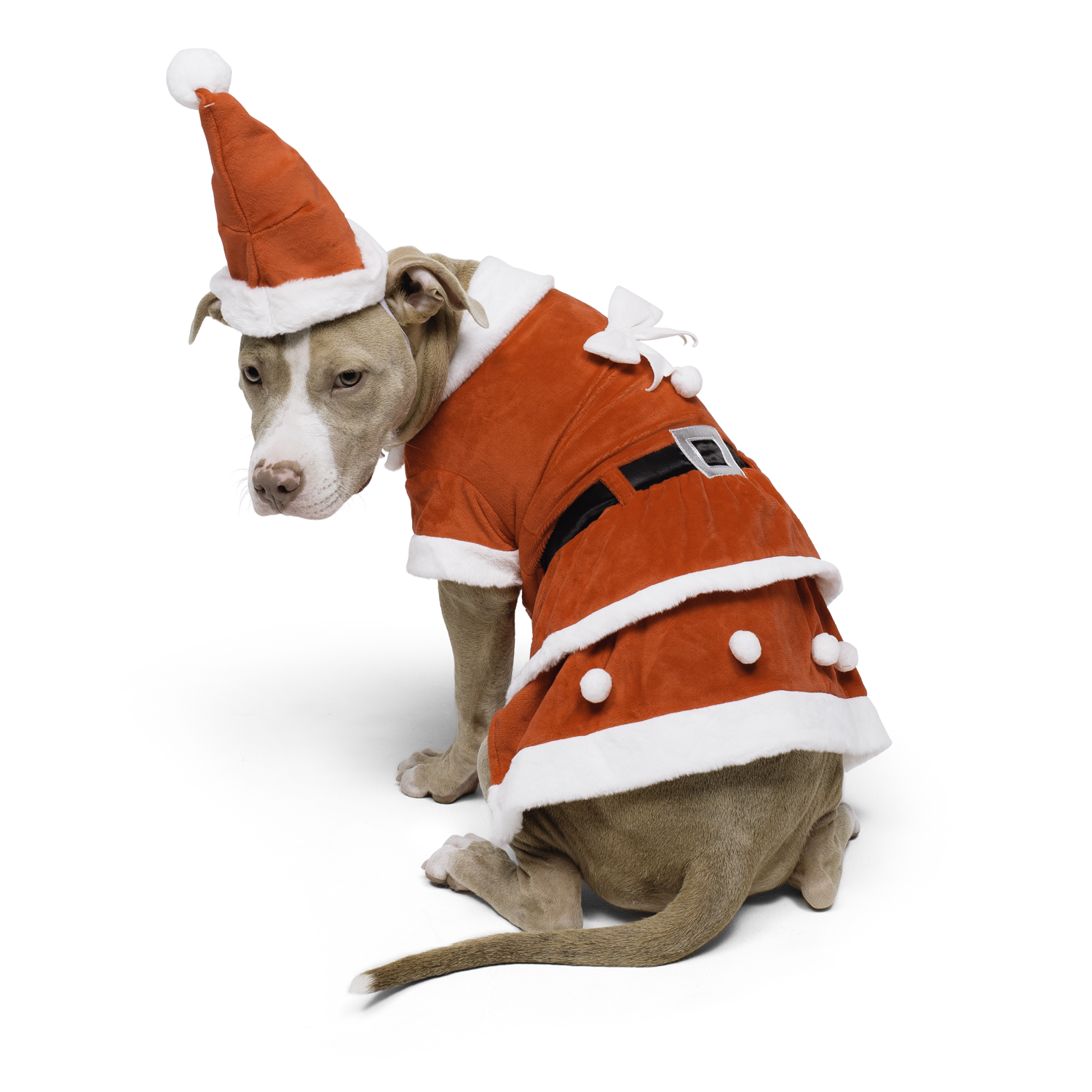 Show & Tail - Vendita all'ingrosso Costume da carnevale - Cani - Abbigliamento per animali - Il Papà Natale1