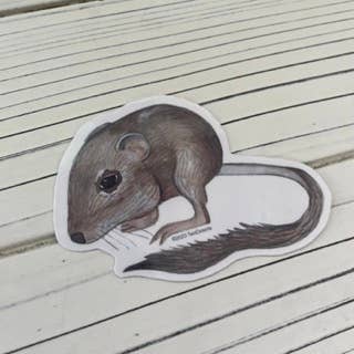 Two Deserts - Wholesale Sticker - Kangaroo Rat Vinyl Sticker1