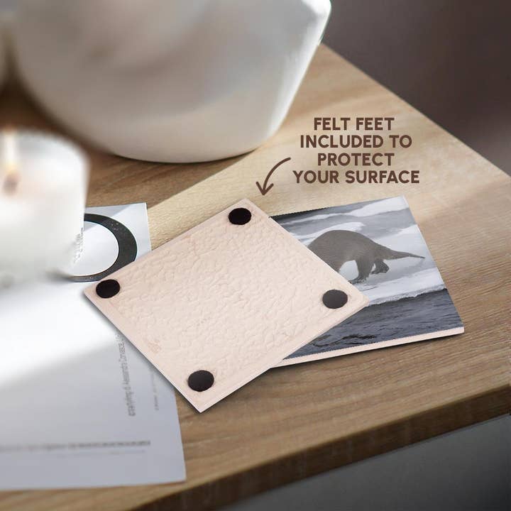 3dRose - Wholesale Coasters - 3dRose, River otter on ice, Coaster3