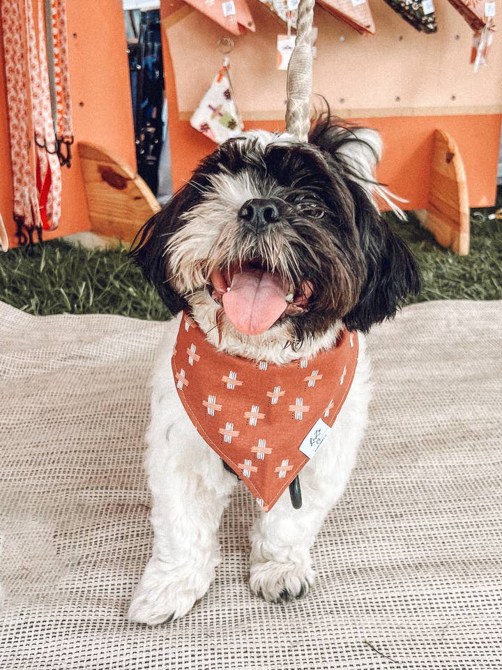 'Desert Sunrise' Dog Bandana for wholesale by LiZo Bandana Co