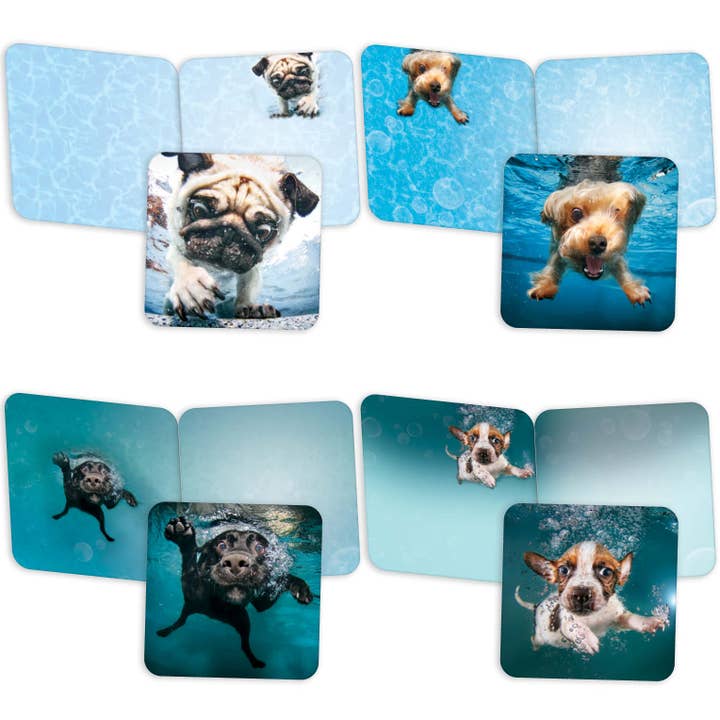 Underwater Dogs® - Boxed Note Card Assortment - 20 Cards for wholesale by Crown Point Graphics