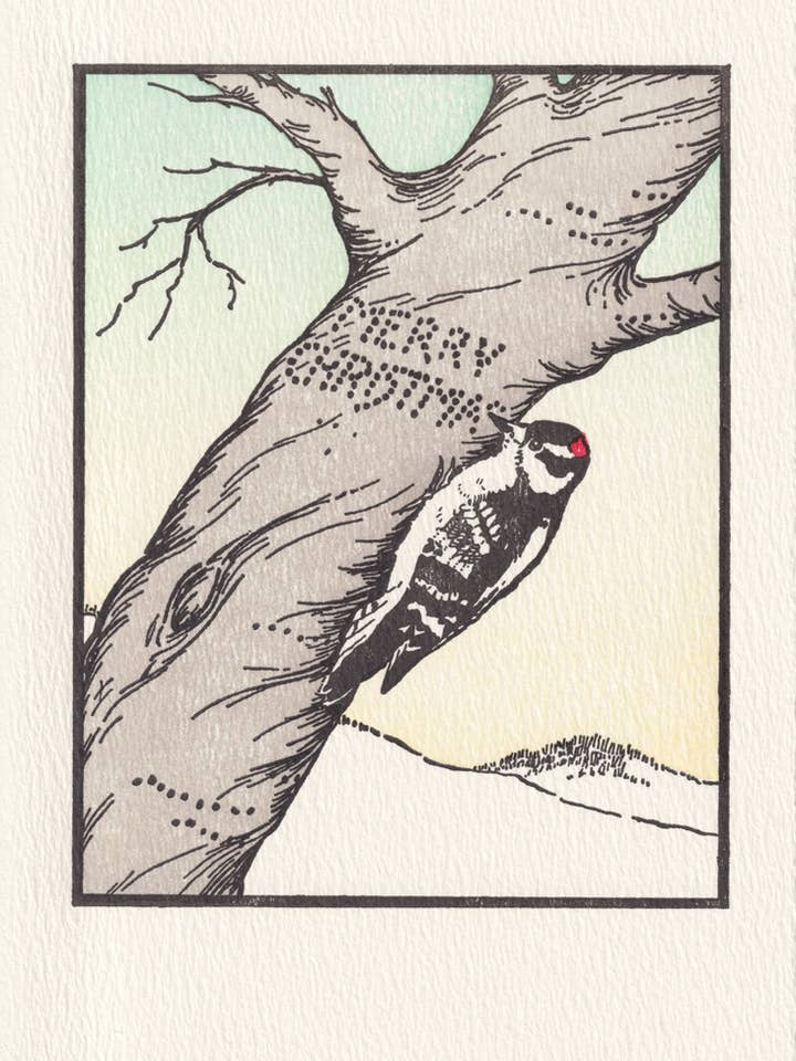 Pica-pau Natal - Caixa de Férias por atacado de Saturn Press