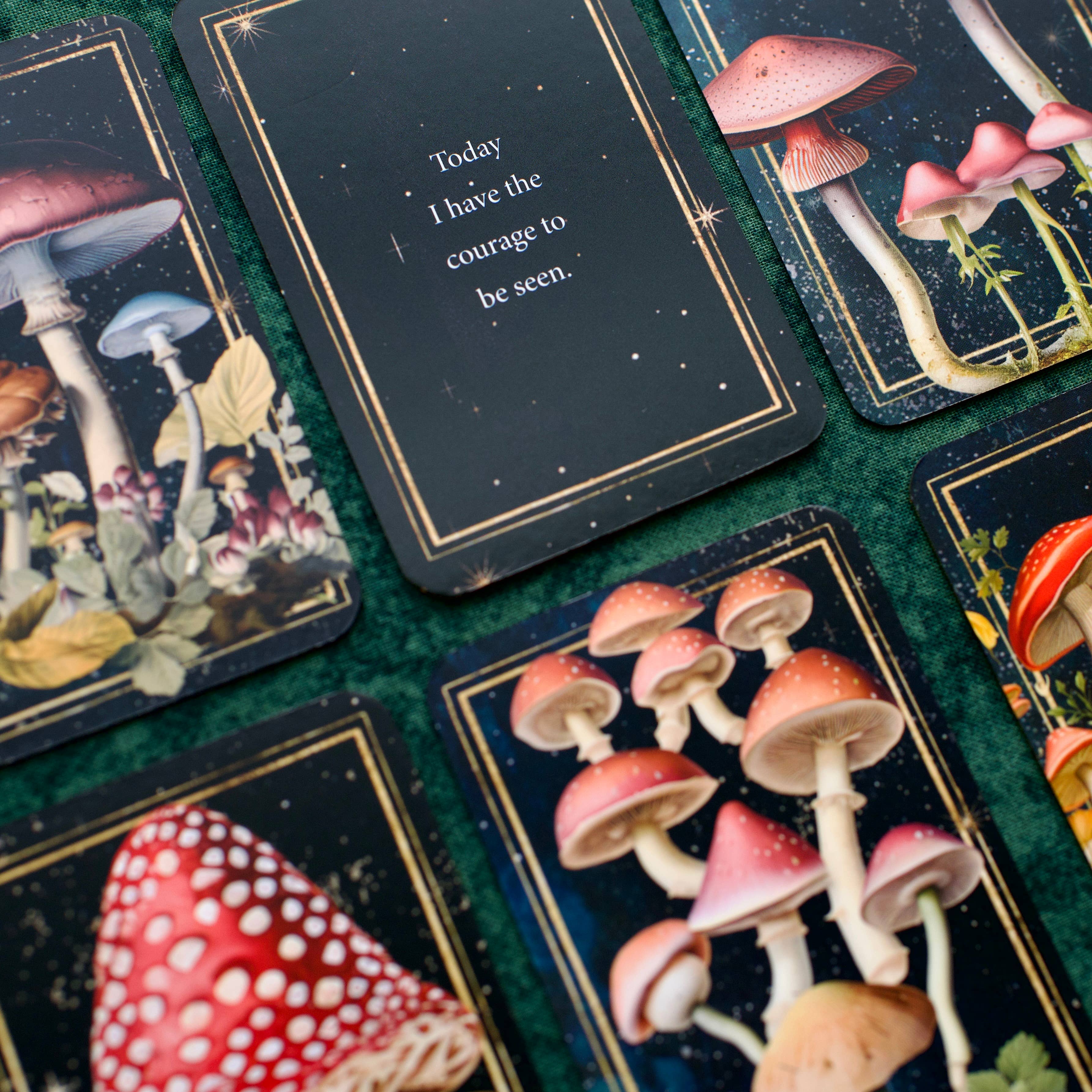 Red Wheel/Weiser LLC - Wholesale Tarot Cards - Mushrooms: Daily Doses of Wisdom (36 Gilt-Edged Mini Cards)1