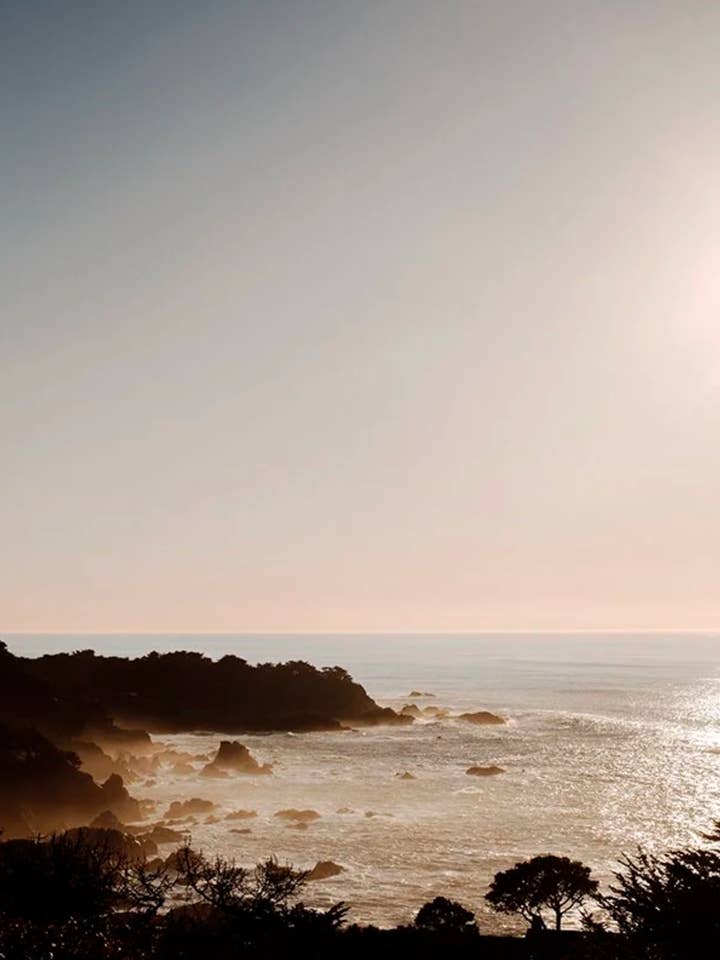 Costeiro N.º 2 por atacado de Wilder California