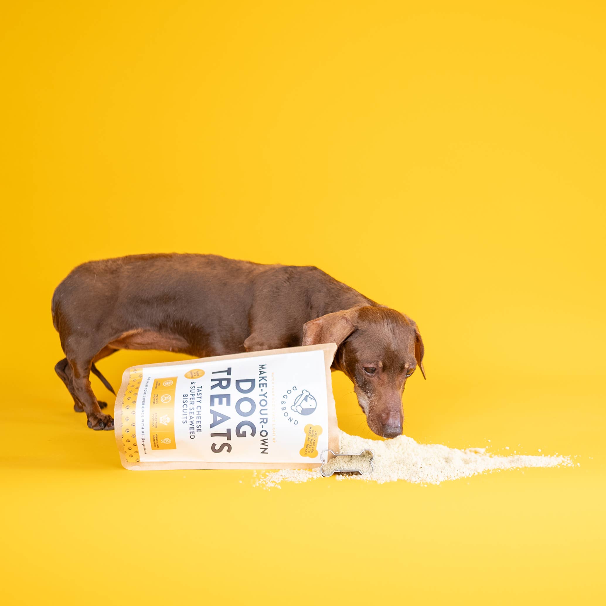 Dog & Bond – Award-Winning Pet Gifts & Dog Treat Kits – wholesale Pet treats – Dog – Make-Your-Own Dog Treats: Tasty Cheese & Super Seaweed2