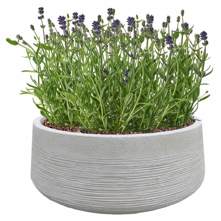 Idealist Lite Fibrestone Planters – wholesale Plant pot – IDEALIST Ribbed Light Concrete Bowl Planter