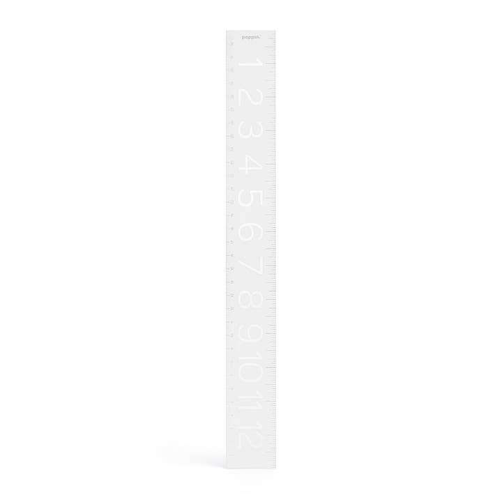 Poppin - Wholesale Ruler - Ruler