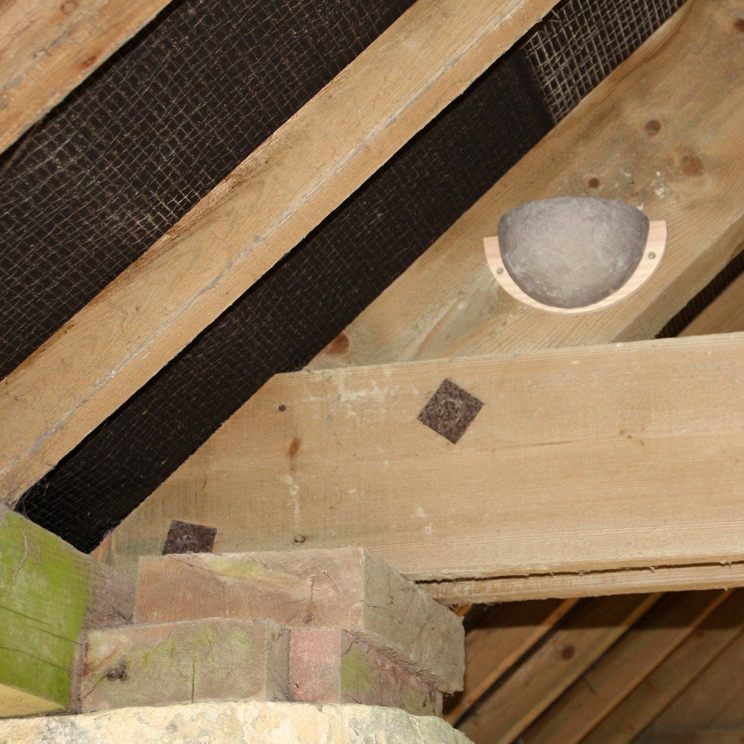 Wildlife World - Wholesale Bird Feeder - Swallow Nesting Bowl1