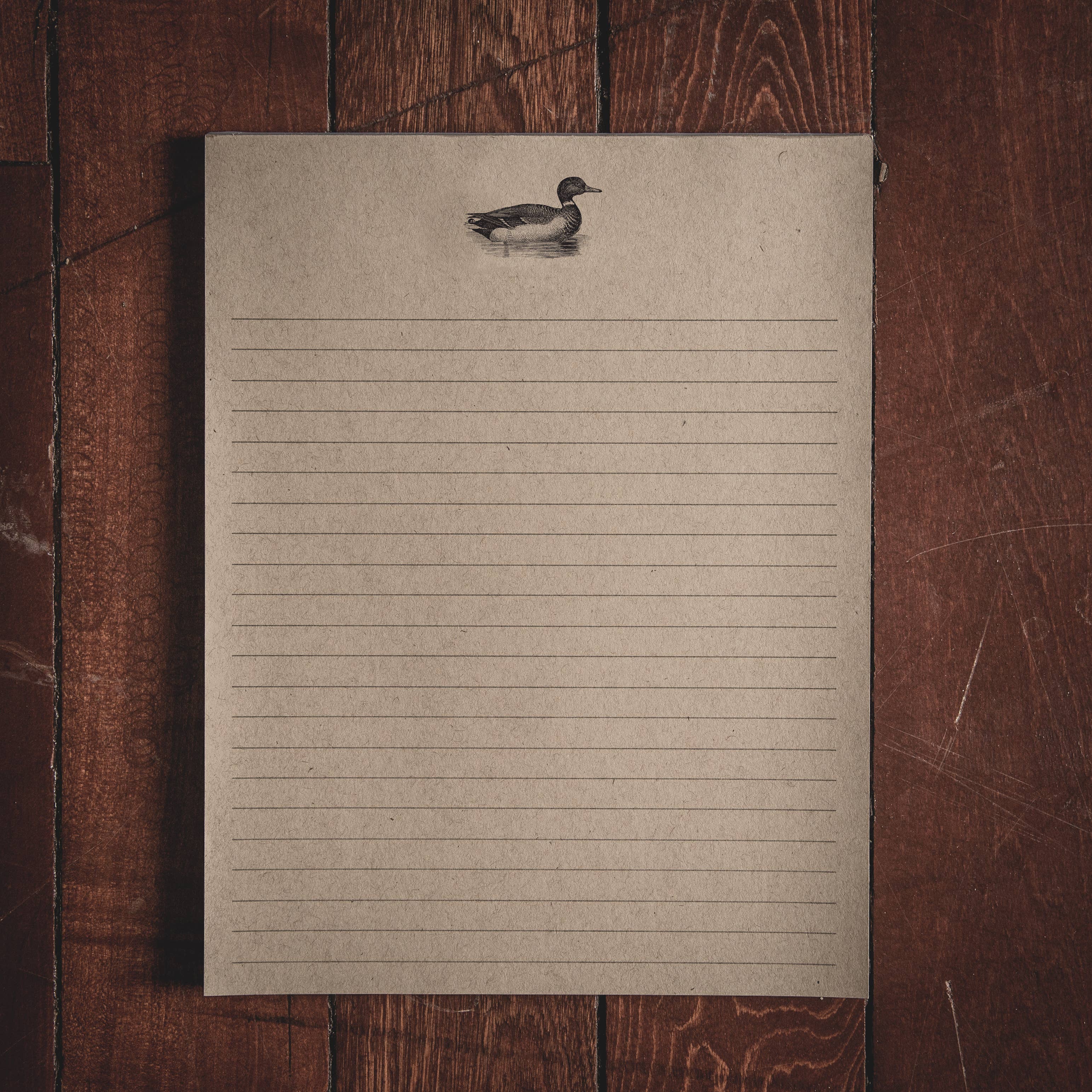 OAK & INK - Vendita all'ingrosso Set di cartoleria/cancelleria - COLLEZIONE DI CANCELLERIA DUCK4