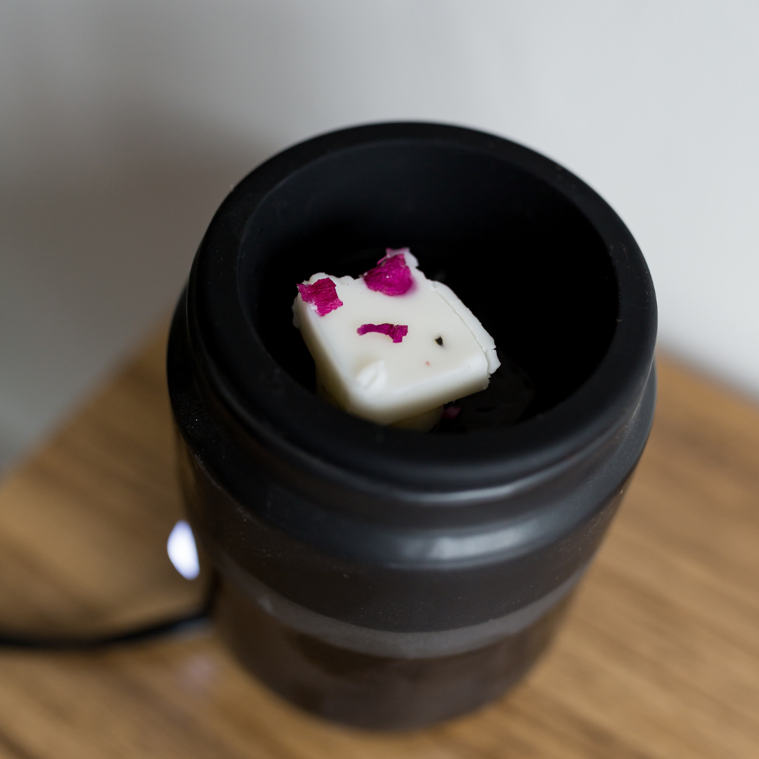 Cultivating Luminescence - Wholesale Wax Melt - 3 oz / Wax Melt / Seeking3