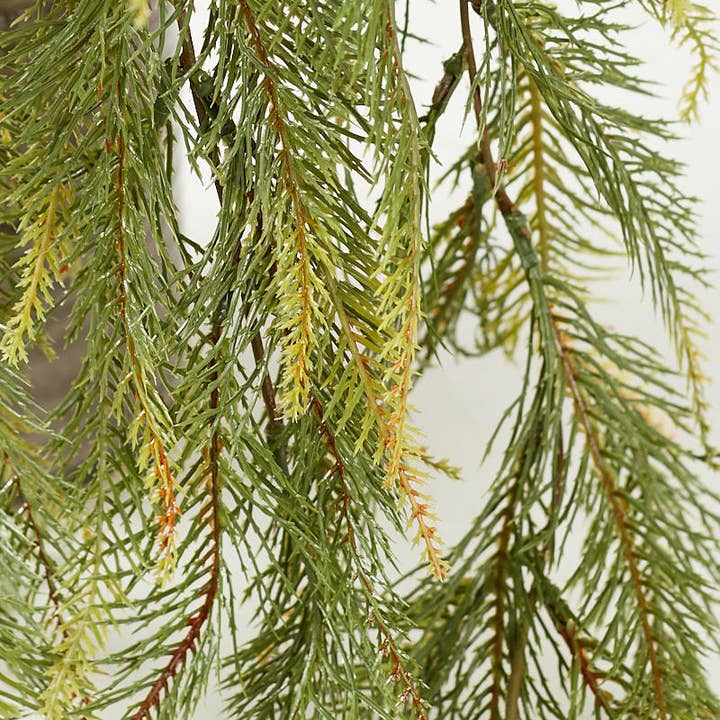 Factory Direct Craft - Wholesale Artificial Plant - 33" Cascading Artificial Norfolk Pine Spray